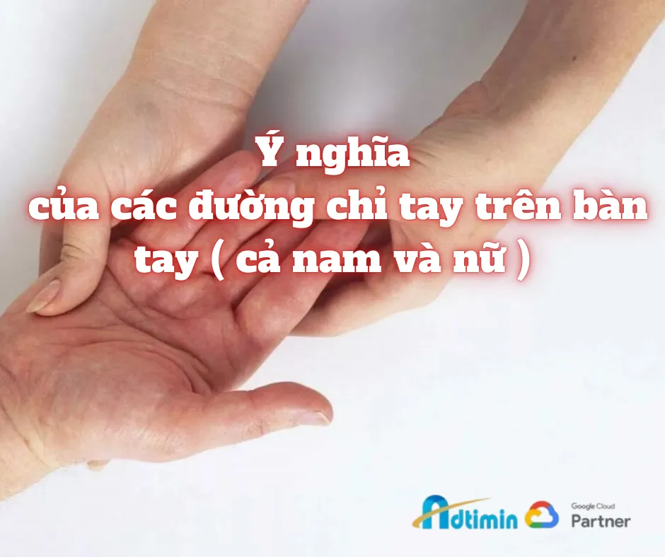 Ý Nghĩa Các Đường Chỉ Tay | Giải Mã Vận Mệnh, Tài Lộc Và Bình An 7 Tổng quan ý nghĩa các đường chỉ tay trên bàn tay nam và nữ