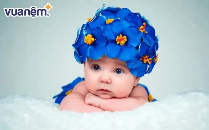 Ý Nghĩa Tên Lan Anh Theo Hán Việt