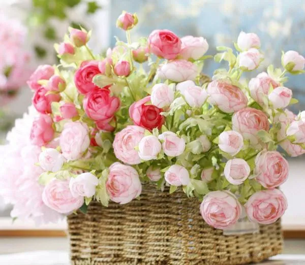 Alt text mô tả kỹ thuật chuẩn bị đất trồng để phát huy ý nghĩa hoa mao lương