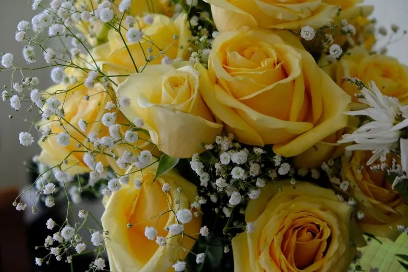 Hoa hồng vàng ý nghĩa mang lại niềm vui và sự lạc quan cho tâm hồn người nhận