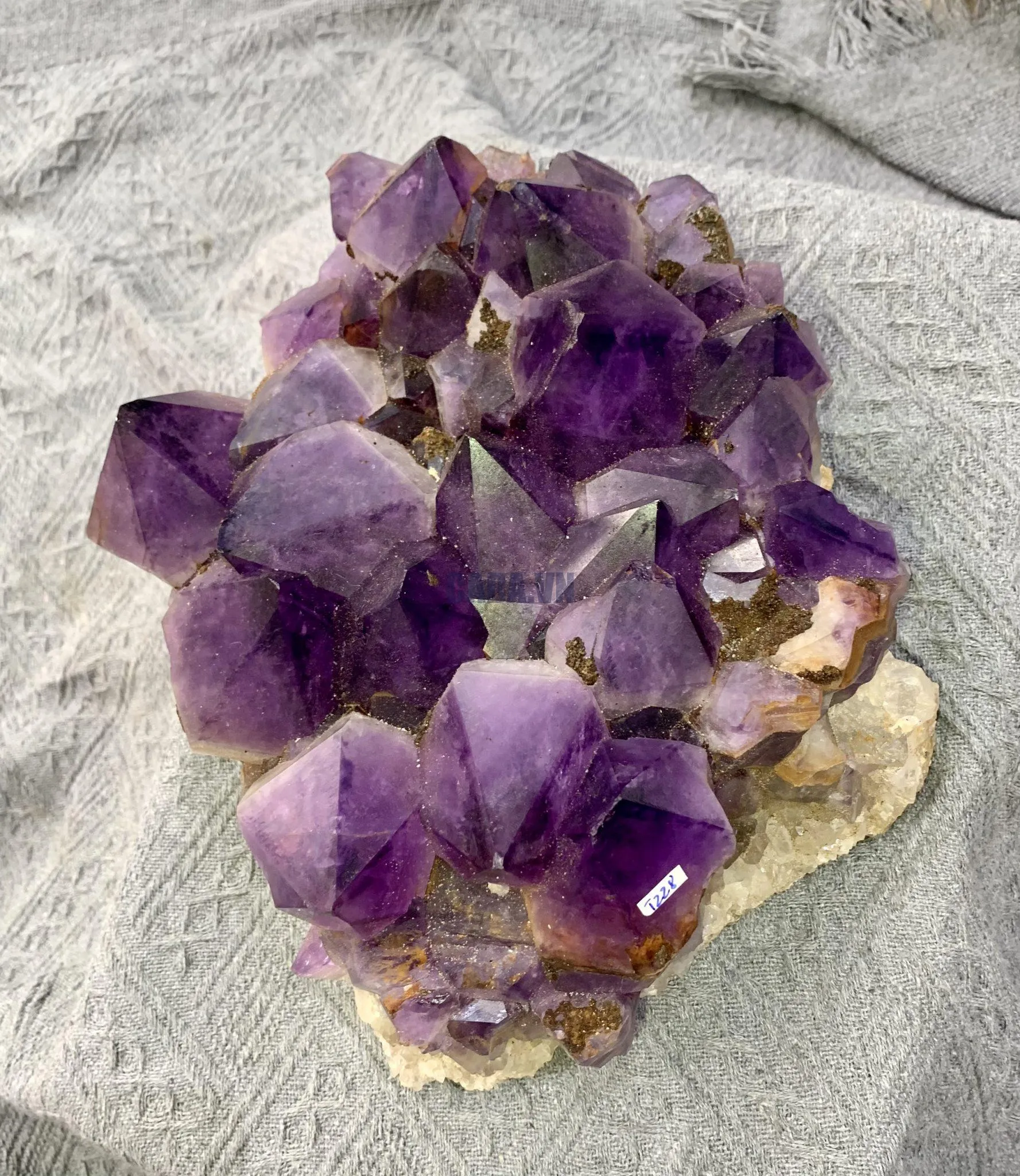 Vỉ mầm thạch anh tím tự nhiên