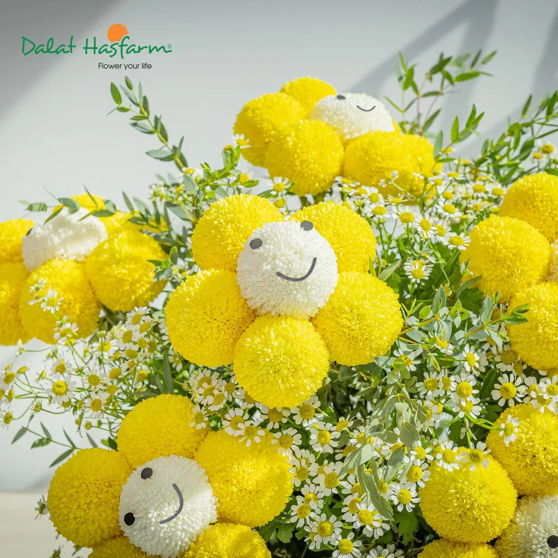 Cúc Ping Pong vàng mang vẻ đẹp hiện đại và thu hút