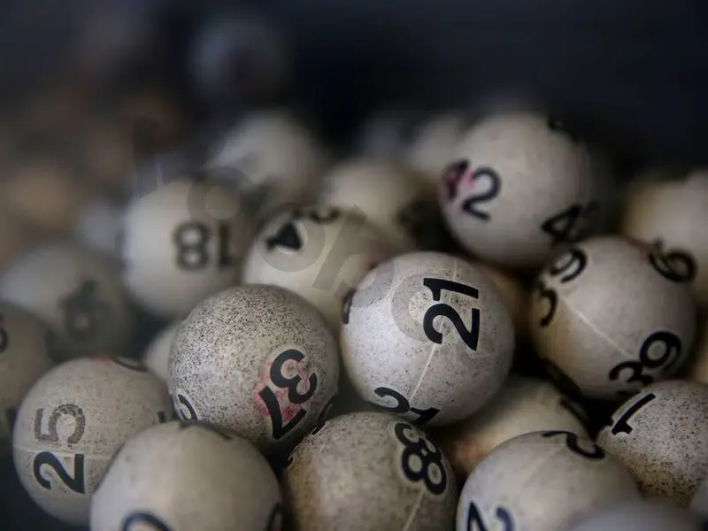 Nằm mơ thấy rắn nhỏ đánh con gì - Giải mã ý nghĩa và tâm linh