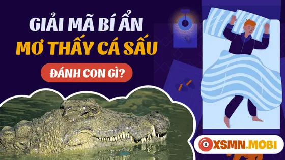 Bật mí các con số may mắn tương ứng với từng tình huống mơ thấy cá sấu