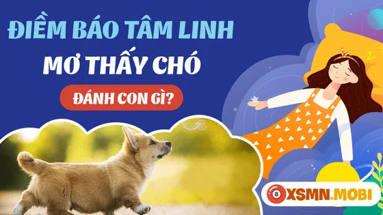 Bảng con số may mắn khi chiêm bao thấy chó