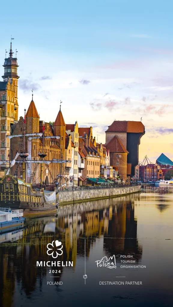 Mơ Thấy Chó Cắn Rắn Đánh Con Gì? Khám Phá Điềm Báo Và Con Số May Mắn