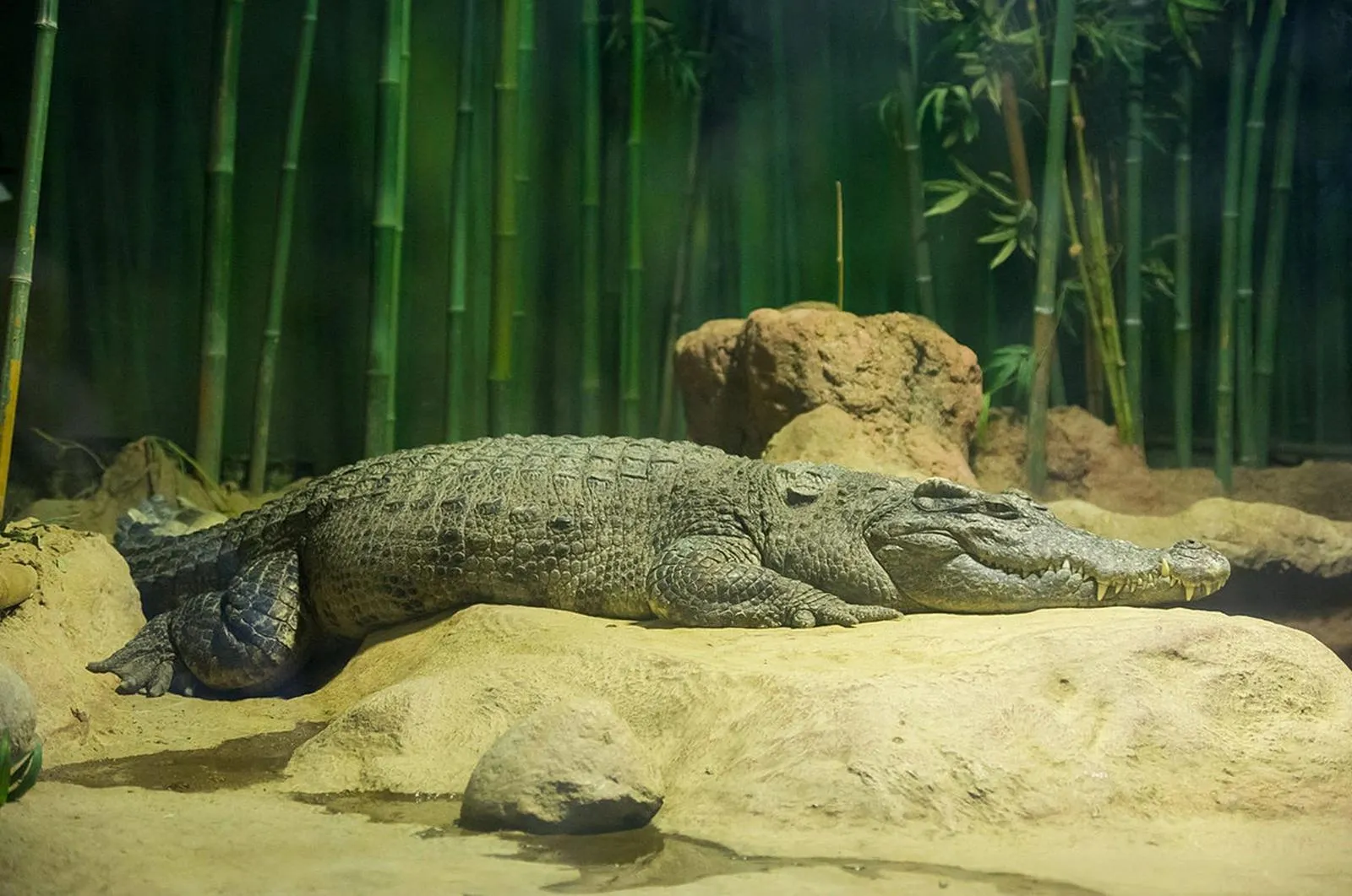 Tích đức hành thiện là cách tốt nhất để hóa giải điềm xấu và đón nhận bình an trong cuộc sống