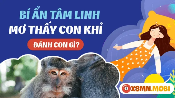 Bảng tổng hợp các con số may mắn liên quan đến giấc mơ thấy con khỉ