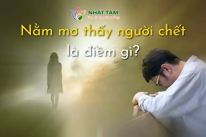 Mơ Thấy Mẹ Mất Đánh Con Gì? Giải Mã Để Hóa Giải Và An Tâm Sống Thiện 2 Hình ảnh minh họa giải mã giấc mơ thấy mẹ mất và các con số may mắn liên quan