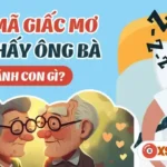 Mơ Thấy Ông Bà Ngoại Đã Mất Đánh Con Gì? Giải Mã Chi Tiết Và Chính Xác