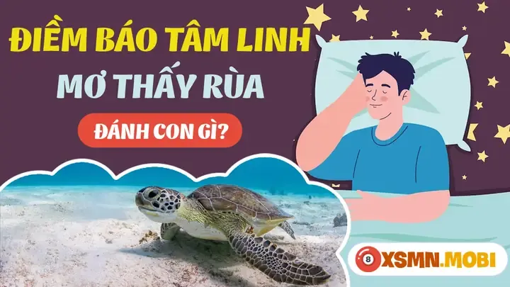 Nằm Mơ Thấy Rùa Đánh Số Gì - Chiêm Bao Thấy Rùa Hên Hay Xui?