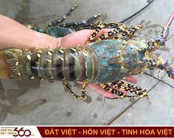 Phân tích điềm báo tâm linh và con số may mắn khi thấy tôm