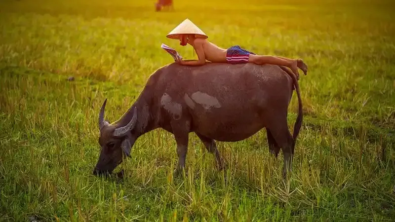 Việc lựa chọn con số may mắn cần dựa trên sự chiêm nghiệm và tâm thế lạc quan của người mơ