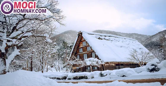 Giải Mã Giấc Mơ Thấy Tuyết Đánh Con Gì Để Đón Tài Lộc Và Bình An 3 Giải mã ý nghĩa giấc mơ thấy tuyết