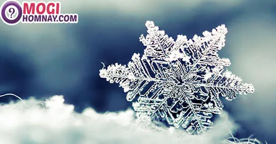 Ngủ mơ thấy tuyết đánh đề con gì