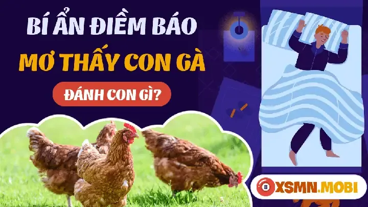 Giải Mã Mơ Thấy Gà Luộc Đánh Con Gì Để Rước Tài Lộc? 4 Nằm Mơ Thấy Gà Luộc Đánh Đề Con Gì? Giải Mã Chi Tiết Từ A-z