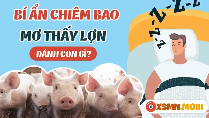 Mơ thấy lợn con mang lại nhiều điềm báo về tài lộc và sự khởi đầu mới trong cuộc sống