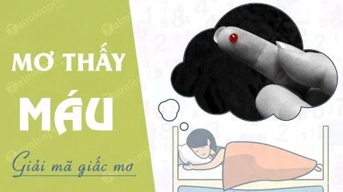 Giải mã ý nghĩa tâm linh bí ẩn đằng sau giấc mơ thấy máu đỏ