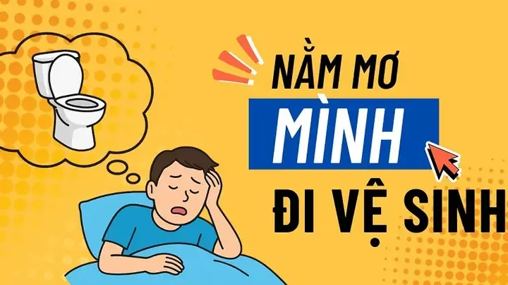 Mơ thấy mình đi vệ sinh đánh con gì và ý nghĩa tâm linh của việc xả bỏ uế khí