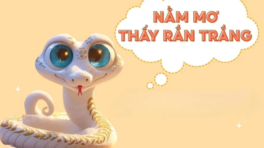 Ngủ mơ thấy rắn màu trắng khổng lồ