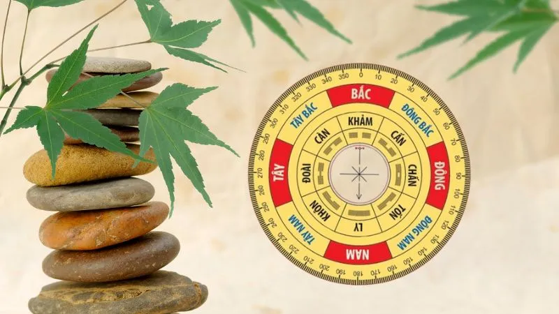 Cung mệnh là gì?