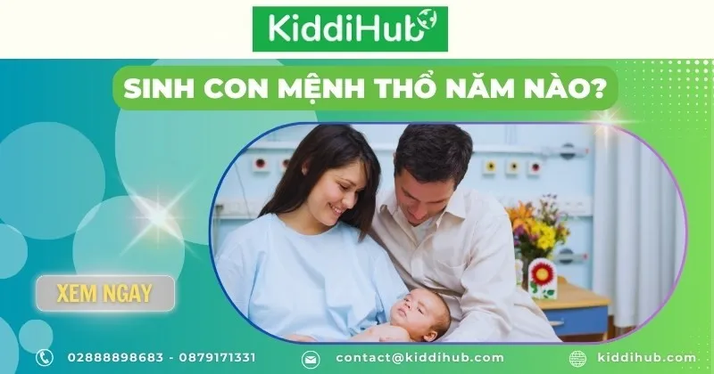 Sinh Con Mệnh Thổ Năm Nào Để Gia Đình Hưng Thịnh? 49 Trẻ em mệnh Thổ thường có tính cách điềm tĩnh, thực tế và trách nhiệm cao