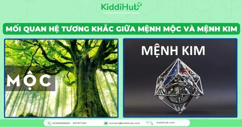 Mối quan hệ tương khắc giữa mệnh Mộc và mệnh Kim