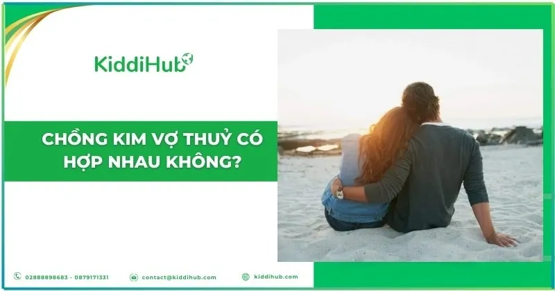 Ảnh minh họa sự kết hợp Kim - Thủy