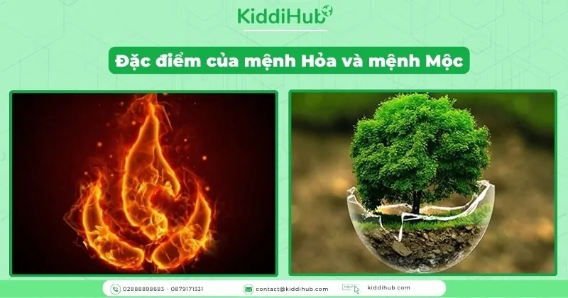 Đặc điểm của mệnh Hỏa và mệnh Mộc