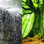 Sử dụng vật phẩm phong thủy hành Thổ để cân bằng năng lượng cho tuổi Kỷ Hợi 1959 mệnh Mộc năm 2026