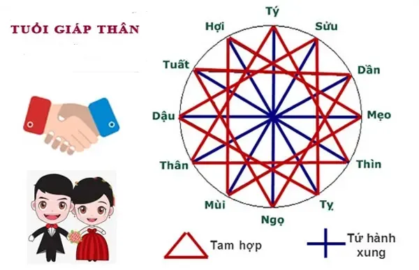 Đồ thị bát quái kết hợp biểu tượng 12 con giáp đo lường sự tương hợp