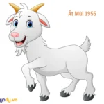 Người 71 tuổi sinh năm Ất Mùi 1955 thuộc mệnh Sa Trung Kim