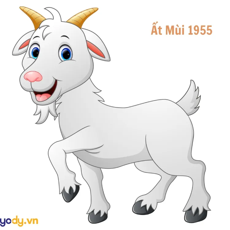 Người 71 tuổi sinh năm Ất Mùi 1955 thuộc mệnh Sa Trung Kim