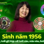 Sinh năm 1956 tuổi con gì