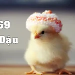 Người sinh năm 1969 thuộc tuổi Kỷ Dậu, cầm tinh con Gà