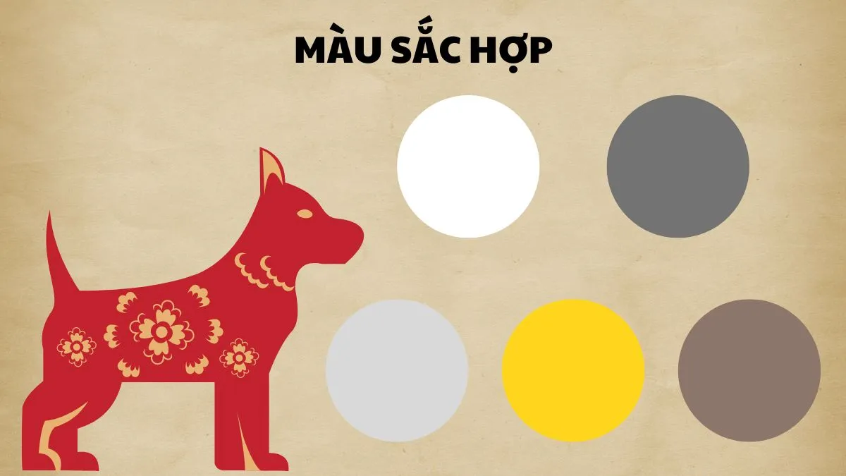 Màu sắc hợp mệnh cho người sinh 1970