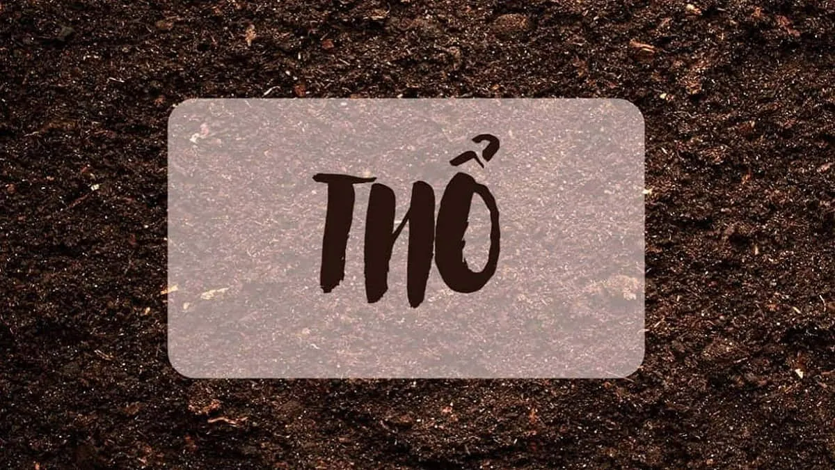 Giải Đáp 77 Tuổi Là Tuổi Con Gì Và Tử Vi Đinh Tỵ 1977 Năm 2026 14 Người sinh năm 1977 mệnh Thổ