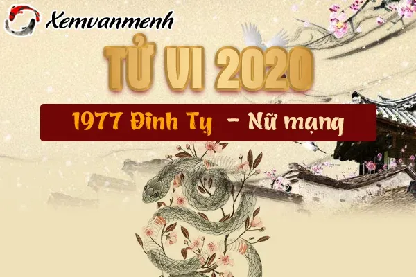 Tử vi tuổi Đinh Tỵ 1977 nữ mạng