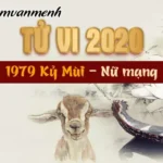 Bản đồ sao hạn và vận thế tổng quan khi xem tử vi tuổi Kỷ Mùi năm 2020 phiên bản cập nhật 2026