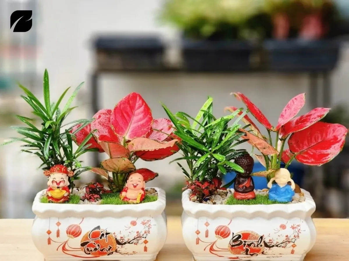 Tuổi Canh Thân 1980 Hợp Cây Gì Để Bàn Làm Việc Năm 2026? 6 1980-hop-cay-gi-de-ban-lam-viec-1.jpg