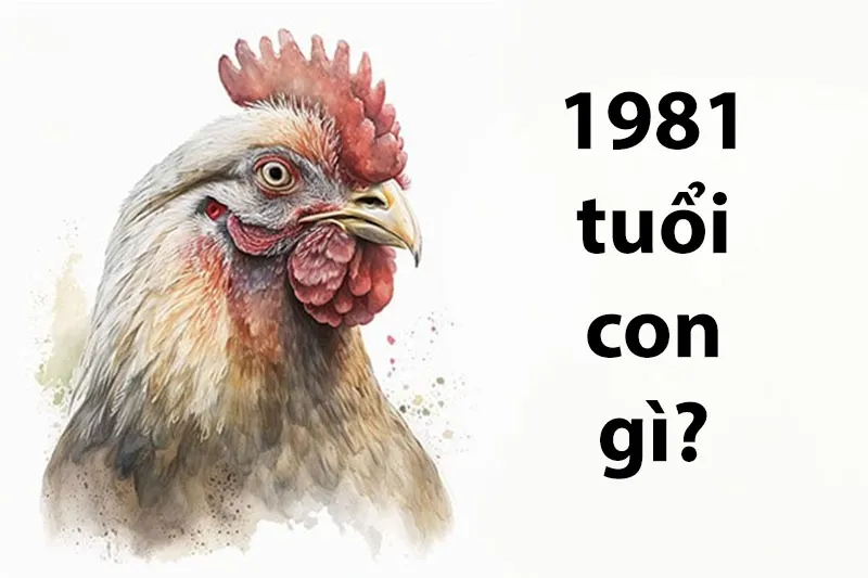 Người sinh năm 1981 mệnh gì? (hình 1)