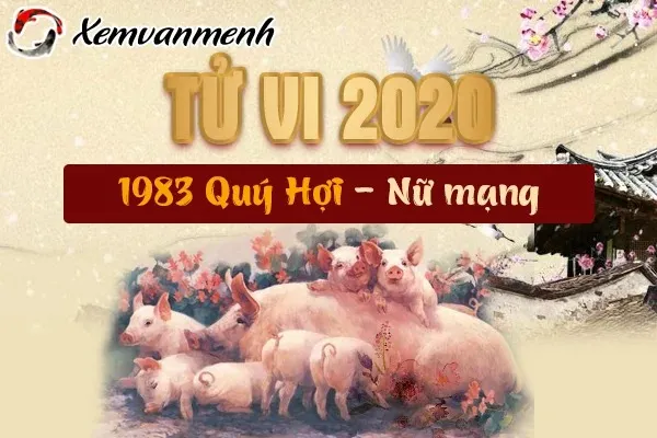 Tử vi tuổi Quý Hợi năm 2026 nữ mạng
