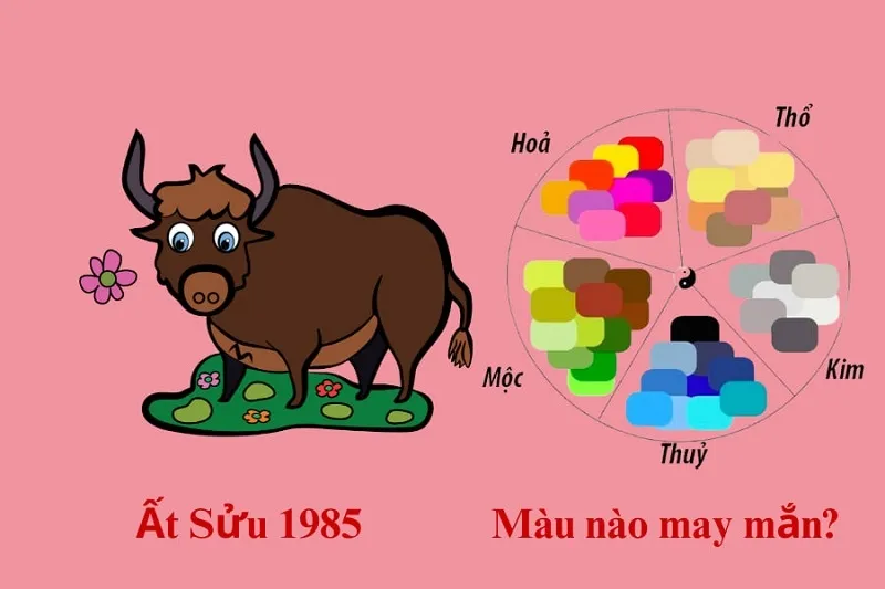 Màu sắc hợp tuổi Ất Sửu 1985