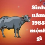 Ất Sửu sinh năm 1985 mệnh gì? Hợp tuổi nào? Tính cách và màu sắc phong thủy