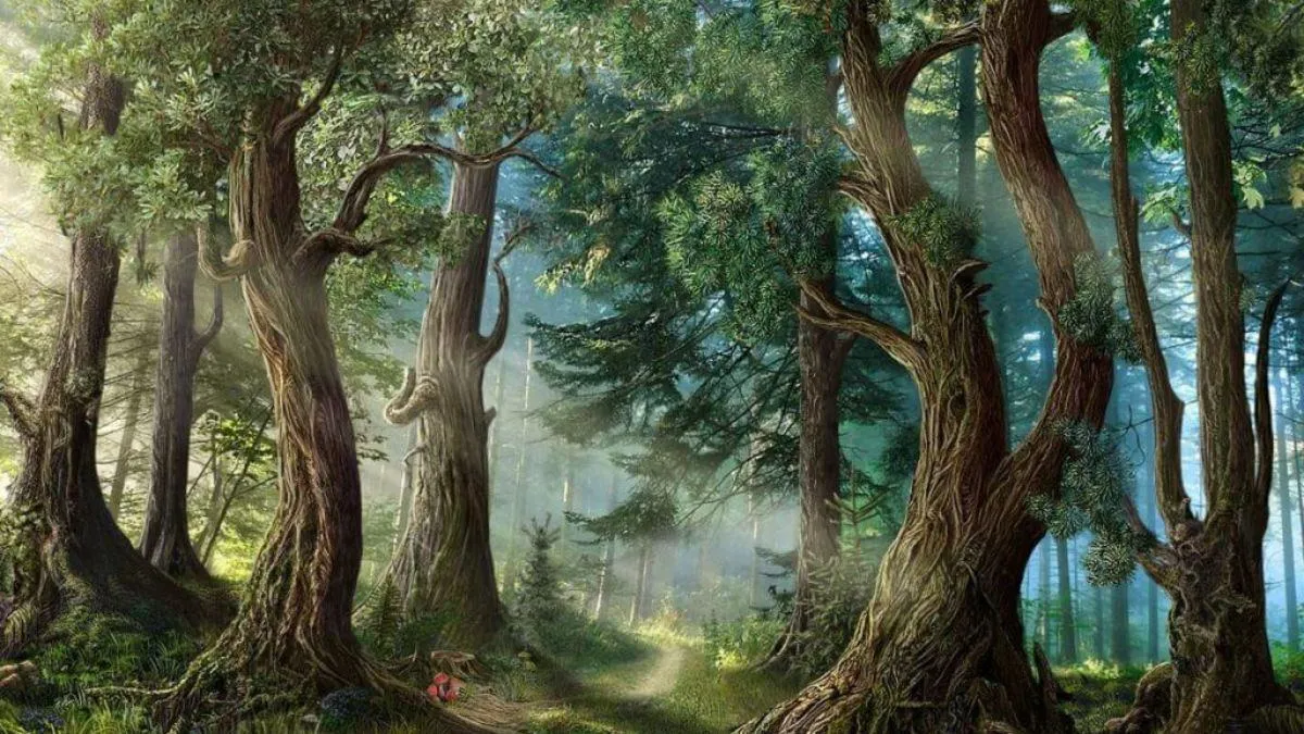 Mậu Thìn 1988 Hợp Màu Gì? Cẩm Nang Phong Thủy 2026 Chuẩn Chuyên Gia 65 1988 mệnh gì