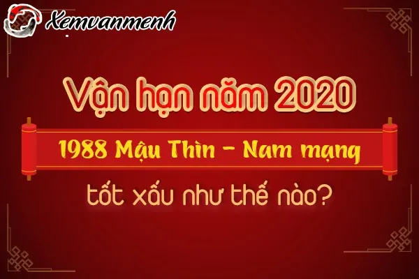 Luận giải vận hạn nam mạng 1988 qua các tháng