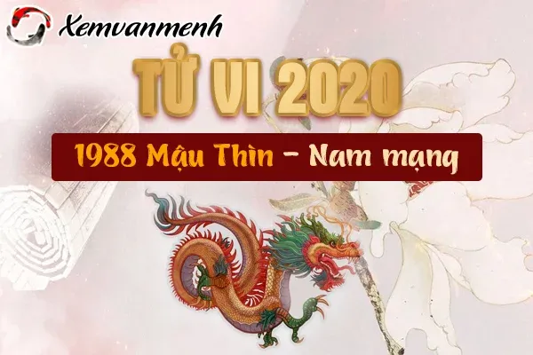 Bảng tóm tắt vận hạn nam mạng Mậu Thìn 2026