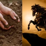 Phân tích người sinh năm 1990 là tuổi con gì và thuộc mệnh nào trong ngũ hành