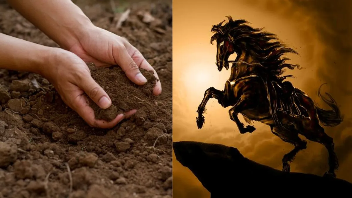 Phân tích người sinh năm 1990 là tuổi con gì và thuộc mệnh nào trong ngũ hành