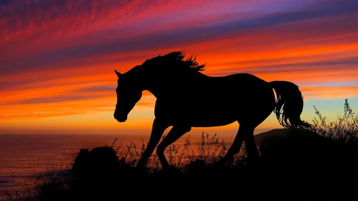 Tính cách đặc trưng dựa trên kiến thức 1990 là tuổi con gì